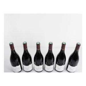 Meo Camuzet (Domaine), Corton Grand Cru, La Vigne au Saint
