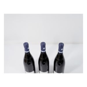 Anne Gros, Clos de Vougeot Grand Cru, Le Grand Maupertui